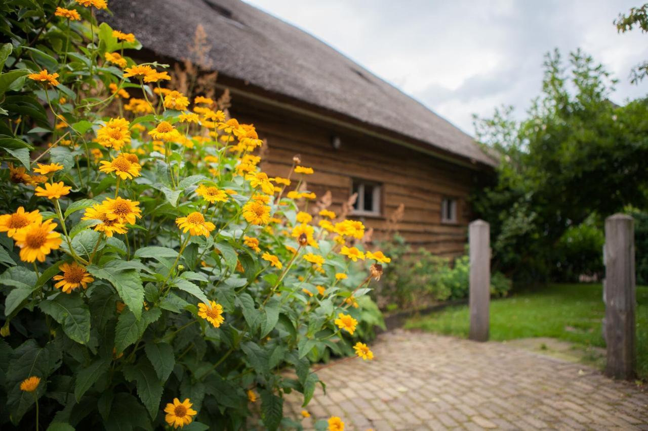 Aan De Aelder Esch Bed and Breakfast Aalden Buitenkant foto